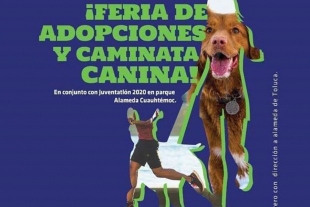 Asiste a la 3ra edición de “La Feria de Adopción y Caminata de Perros” en Toluca