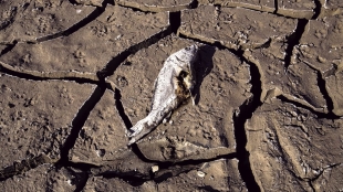 Los Ángeles restringe uso de agua mientras avanza la sequía en Estados Unidos