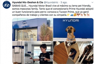 Tucson Prime: de callejerito a empleado en una agencia de autos