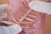 Chopard rediseña en cuarzo rosa la Palma de Oro 2022