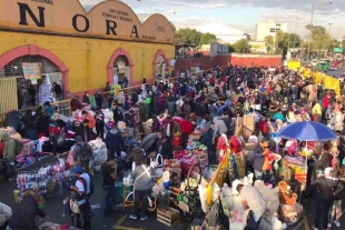 ¡Buenas nuevas! Autoridades capitalinas restringen la venta de animales en tianguis y mercados