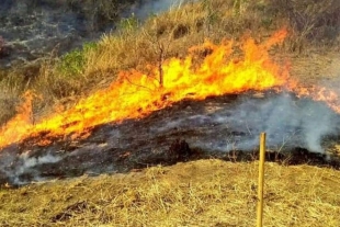 Confinamiento por COVID-19 favorece disminución de incendios forestales en Edoméx