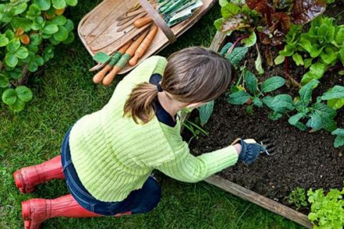 Ayuda a la ecología haciendo estas actividades