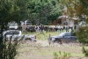 Empresarios ven con preocupación presencia del crimen organizado en sur mexiquense
