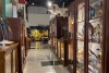 Cuenta UAEMéx con 140 años de historia natural, a través del Museo Universitario “Dr. Manuel M. Villada”