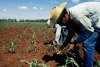 Diputados piden dar certeza jurídica a núcleos agrarios en Edomex