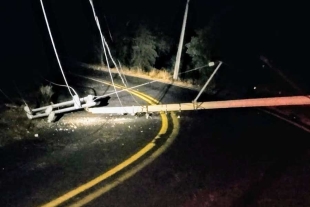 Bloqueo total en la Tenancingo-Tenango por caída de postes