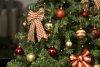 Rompen récord mundial al poner 444 árboles de Navidad