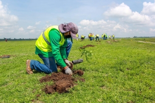 Atiende Toluca sitios prioritarios en reforestación