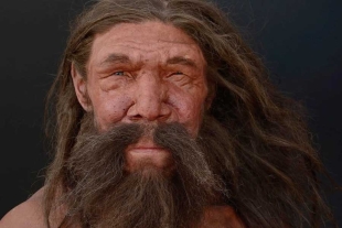 “Hombre de Altamura”: logran reconstruir el cráneo de uno de los neandertales más antiguos