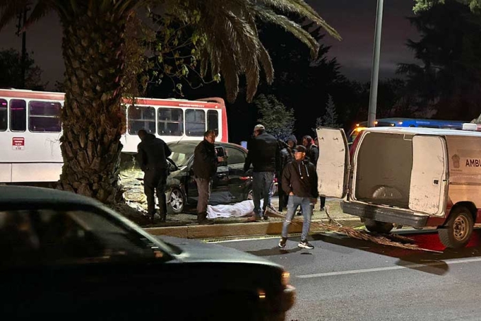 Muere conductor al estrellarse contra una palmera sobre Isidro Fabela