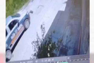 Horas más tarde, el perro murió a causa de las lesiones
