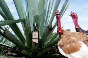 Este mezcal se elabora ¡con pechugas de pollo o pavo!