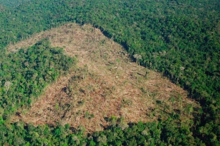 Hoy día hay 9 núcleos de deforestación principales, que representan el 57% de la deforestación colombiana