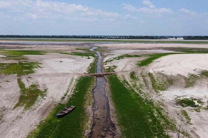 El presente estudio recopiló datos de mil 733 municipios que representan más del 74% de la Amazonía
