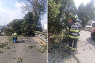 Al lugar acudió personal de Bomberos de Toluca