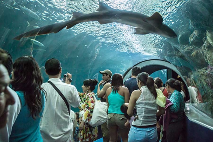 Acuario de Veracruz desaparece y pasa a manos del estado con el nombre de ‘El Aquarium’