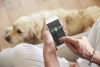 Conoce “Pet-Comm”, la primera red social creada especialmente para mascotas