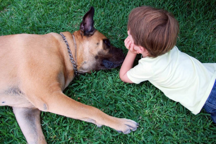 ¿Le mientes a tu mascota? ¡Ten cuidado! Los perros detectan las mentiras