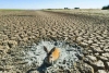 Francia atraviesa la peor sequía de su historia; más de 100 ciudades se quedan sin agua