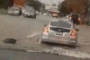 Lluvias dejan afectaciones en Monterrey