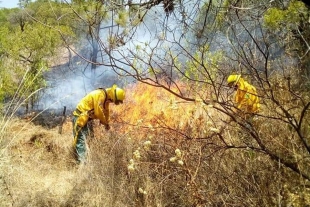 Estado de México con más incendios forestales en lo que va del año