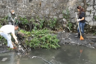 Buscan rescatar río Magdalena