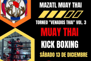 El foco del torneo está puesto en la promoción de las artes marciales mixtas y su estricta disciplina.