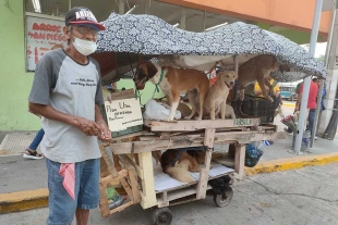 “Una ofrenda, por favor”: hombre pide ayuda para él y sus lomitos en Tamaulipas