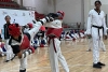 Finaliza con éxito el Seminario Olímpico Internacional de Kyorugui en Metepec