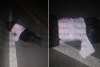 ¡Macabro! dejan cadáver embolsado y con narcomensaje en Zinacantepec