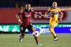 Las Diablitas no pudieron contra Tigres