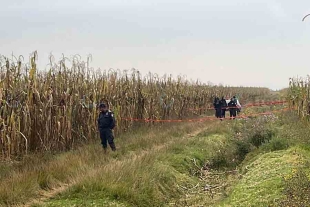 Ejecutan a un hombre entre milpas en el municipio de Otzolotepec