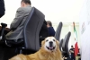 ¡México mágico! Gobernador de Puebla realiza “entrevista” a su perro