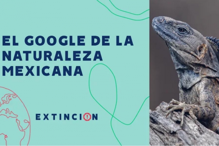 CONABIO: El Google de la naturaleza mexicana