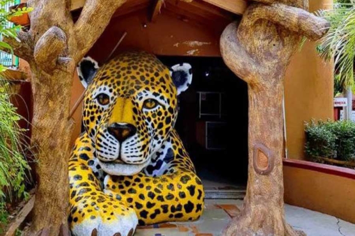 Animales vendidos y desaparecidos: ¿qué está pasando en el zoológico de Chilpancingo?