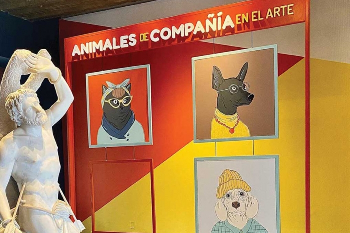 Arte y mascotas: inauguran exposición Pet-Friendly en la CDMX