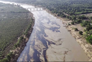 Personal especializado arribó al lugar de los hechos para llevar a cabo tareas de saneamiento