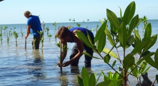 Una tarea para todo un siglo: Conoce el plan cubano contra el cambio climático