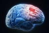 ¡Wow! Científicos diseñan una “prótesis de memoria” para restaurar recuerdos