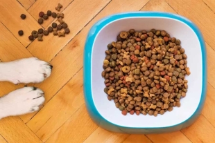 Compañías como Mars Petcare han decidido implementar nuevas medidas. 