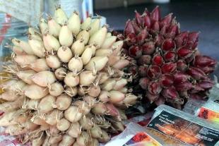 El cocuixtle, la fruta mexicana prehispánica con propiedades medicinales