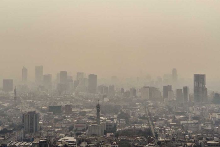 Buscarán desarrollar un mercado de captura de carbono,