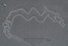 Científicos de Japón hallan 143 nuevos geoglifos en Líneas de Nazca