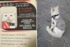 Michi vigilante: empresa adopta y contrata a gatito callejero en Nuevo León