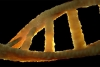 Logro histórico: científicos logran descifrar el genoma humano