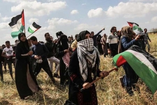 México pide a Corte Internacional investigar crímenes cometidos en Palestina