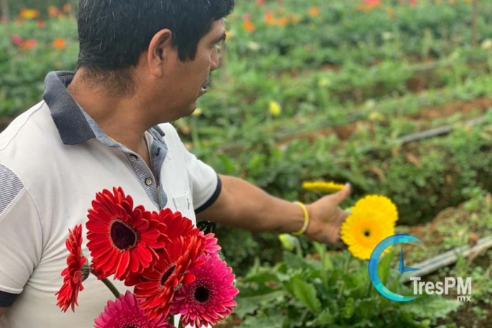 Grave situación enfrentan floricultores mexiquenses ante restricciones sanitarias