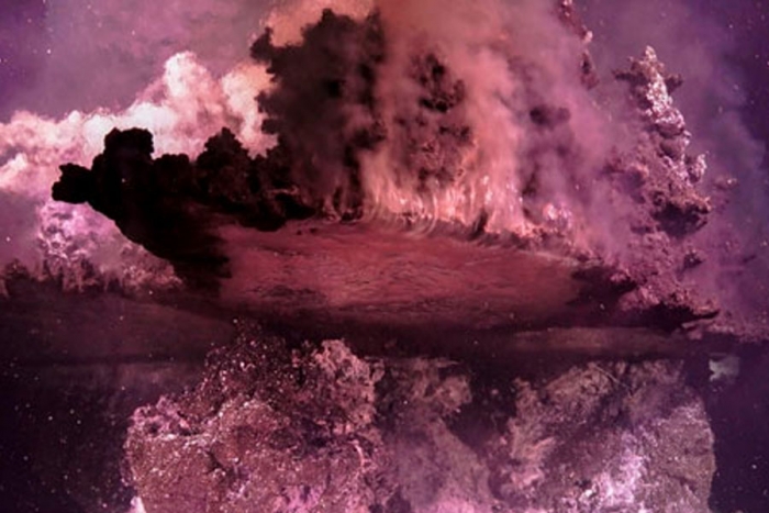 Un oasis rosa bajo el Mar de Cortés