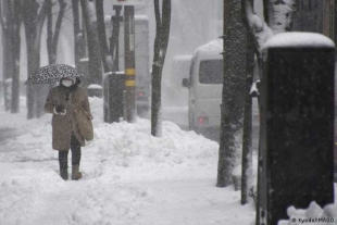 17 muertos en Japón a causa de fuertes nevadas